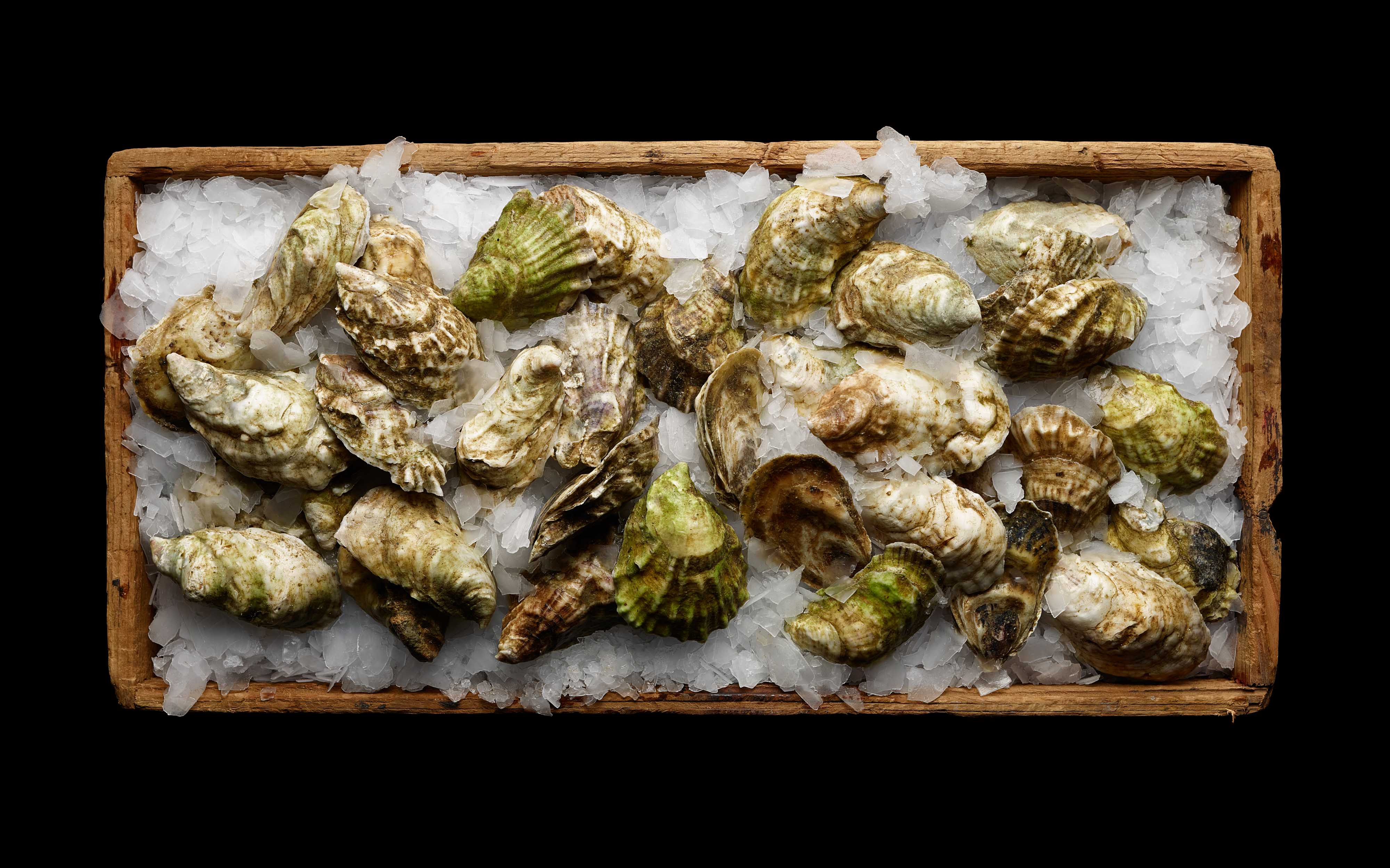 fresh-oyster-box