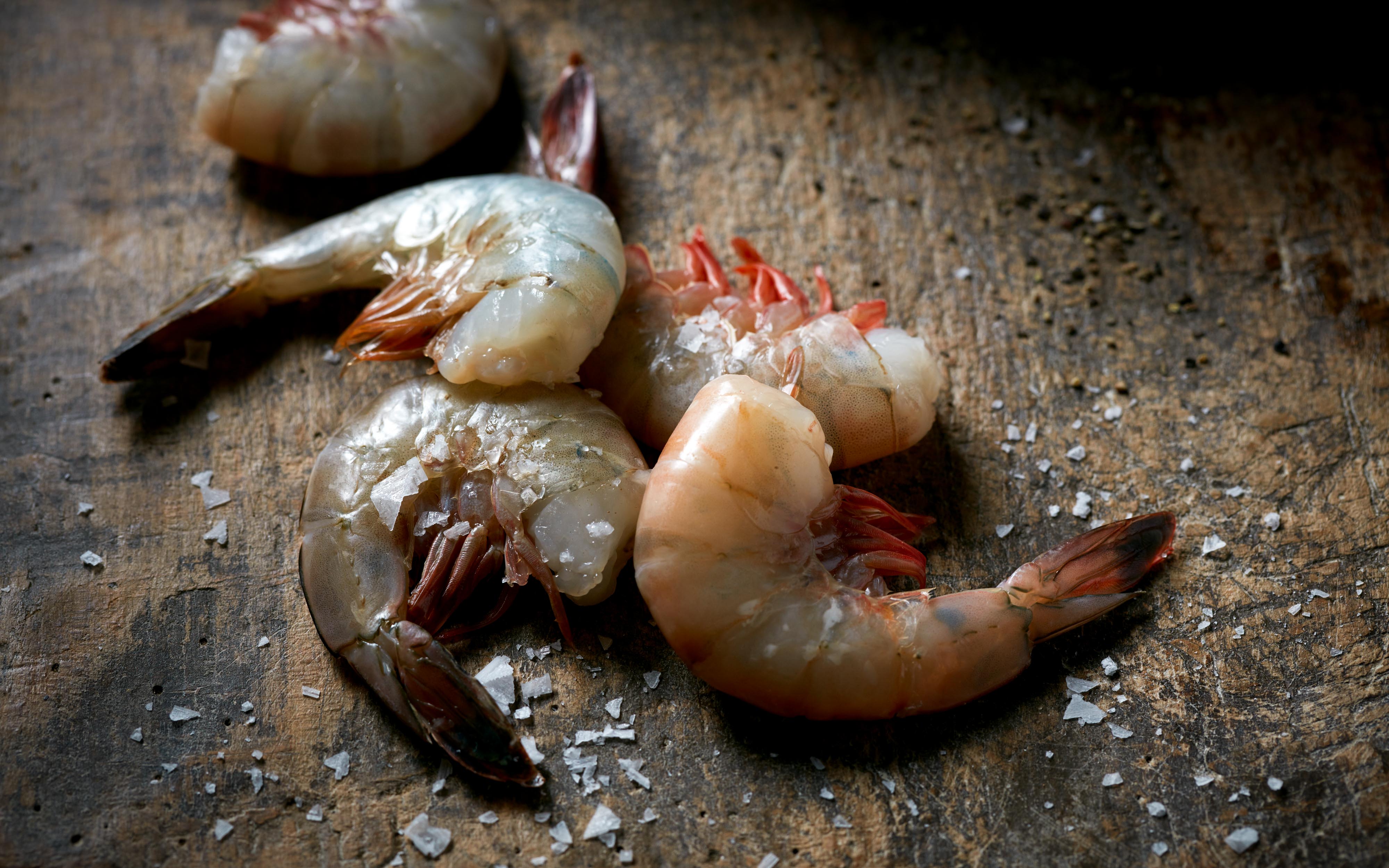 raw-shrimp-macro
